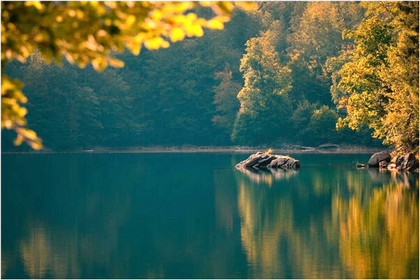 夢到了租門市做生意有什麼徵兆_周公解夢官網