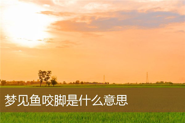 夢見魚咬腳是什麼意思_周公解夢