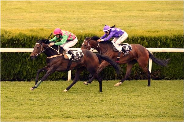 夢到了門破但開著意味著什麼_周公解夢官網