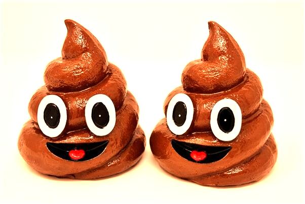 夢到了書本被撕是好的徵兆嗎_周公解夢官網