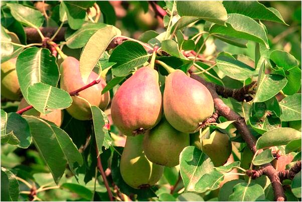 夢見王母娘娘在等我啥意思_周公解夢官網