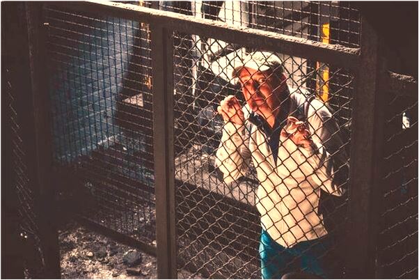 夢見家人來學校看我有什麼徵兆_周公解夢官網