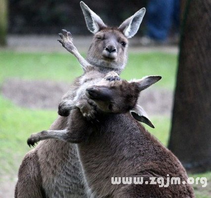 會對情敵下狠手的星座_十二星座