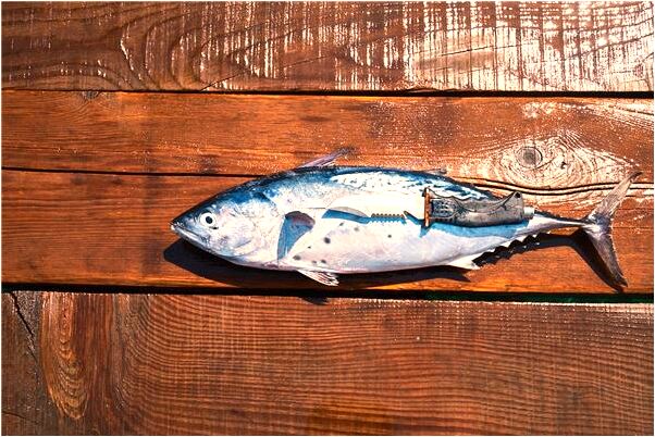 夢見環形前進是什麼啟示_周公解夢官網