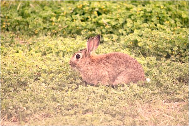 夢見朋友和朋友的對象分手什麼寓意_周公解夢官網