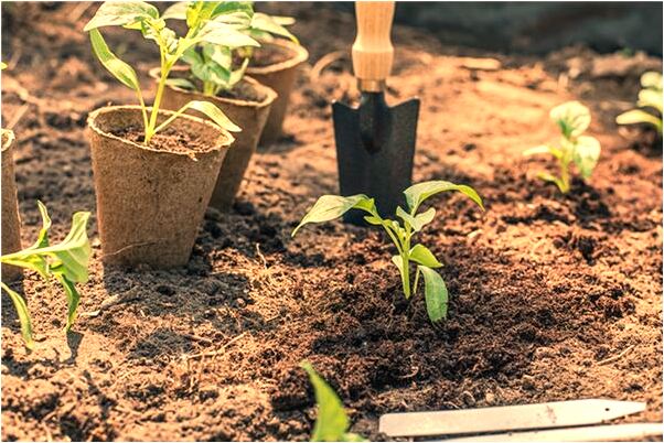 夢見頭髮染黃色會是什麼預兆_周公解夢官網