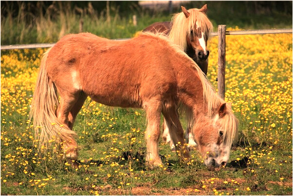 夢到了自己艷遇意味著什麼_周公解夢官網