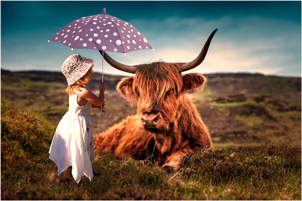 夢到了草叢裡有好多蟲子是咋回事_周公解夢官網