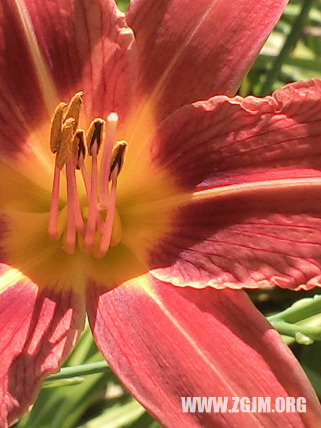 夢見解剖死人_周公解夢夢到解剖死人是什麼意思_做夢夢見解剖死人好不好_周公解夢官網