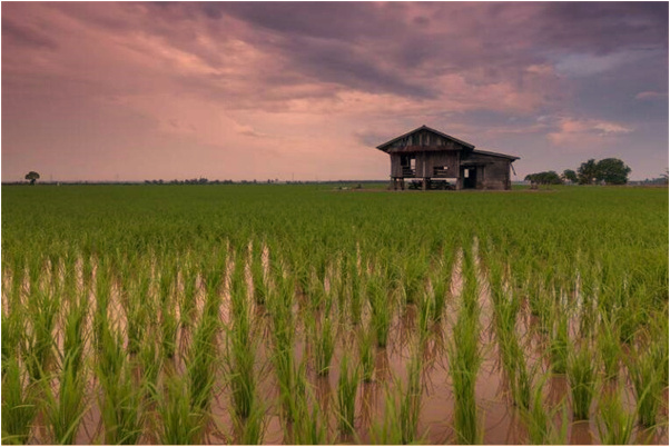 夢見地心火是凶兆還是吉兆_周公解夢官網