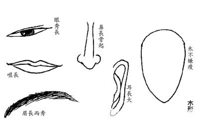 Wood is analyzed face to face