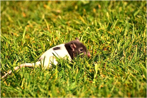 夢到在屋子裡看見鬼魂是咋回事_周公解夢官網