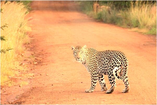 夢到了和別人搞受方有什麼含義_周公解夢官網