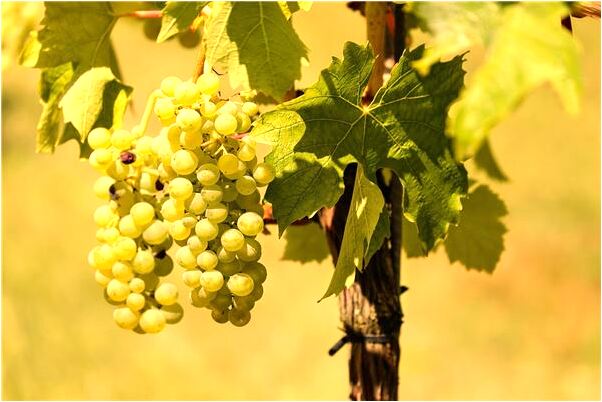 夢到很高的地方掉下去了有什麼預示嗎_周公解夢官網