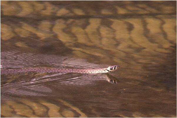 夢到了抱著前男友說復合怎么樣_周公解夢官網