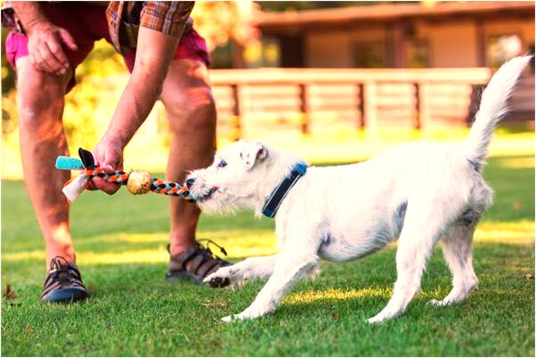 夢到修理腳踏車會是什麼預兆_周公解夢官網