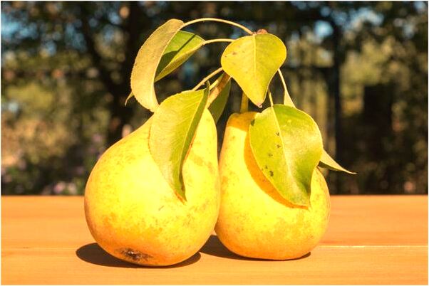 夢到被友女抓姦有什麼含義_周公解夢官網