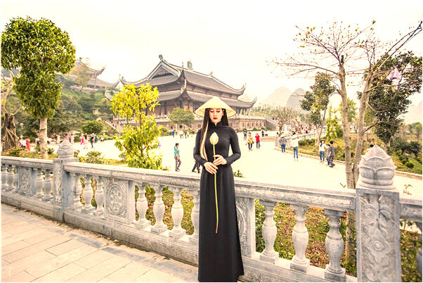 夢見杏子成熟很漂亮是什麼意思？_周公解夢官網