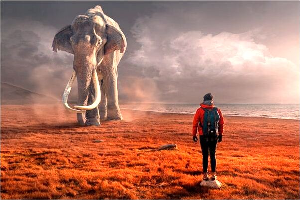 夢見熱蒸必預兆了什麼嗎_周公解夢官網