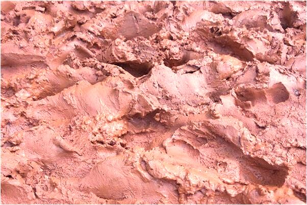 夢到了考試得分是不是好的徵兆呢_周公解夢官網