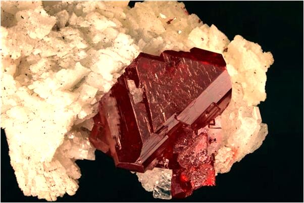 夢到房子裡有黑色的鳥有什麼意思嗎_周公解夢官網