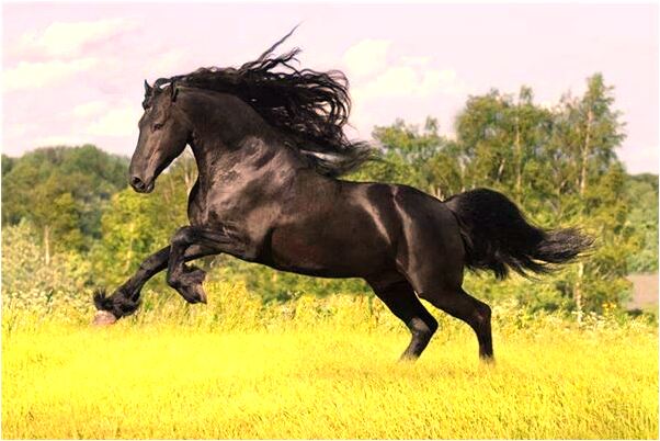 夢到男友給自己脫內衣會是什麼預兆_周公解夢官網
