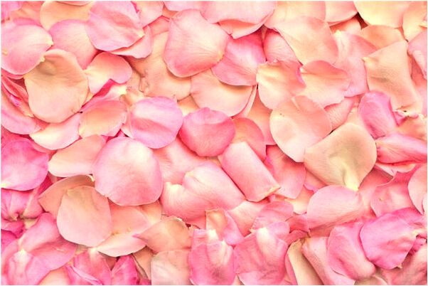 夢到警察說我抽著三根香有什麼寓意嗎_周公解夢官網