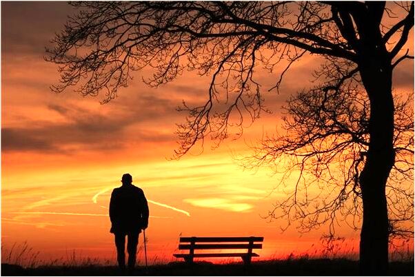 夢到抓知了猴有什麼預兆_周公解夢官網