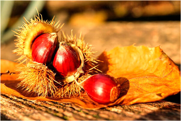 夢見自己因被冤枉而哭是什麼意思_周公解夢官網