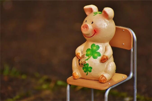 2019年幾點出生生肖豬最好_十二生肖