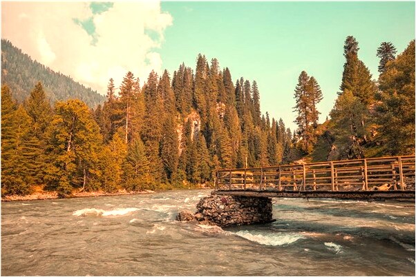 夢到了出國忘記帶護照好不好_周公解夢官網