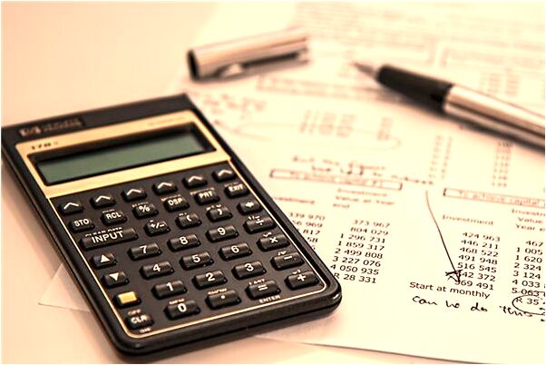 夢見寵物狗被偷是什麼意思_周公解夢官網