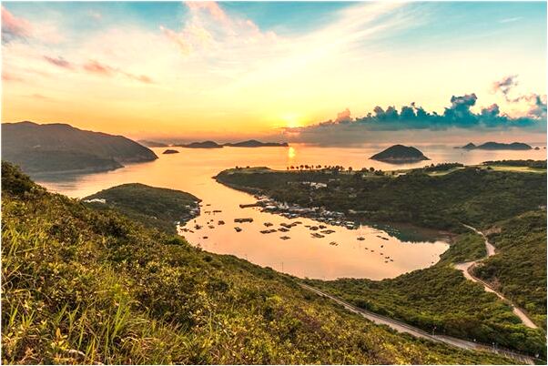 夢見好多蛇和老鼠怎么說_周公解夢官網