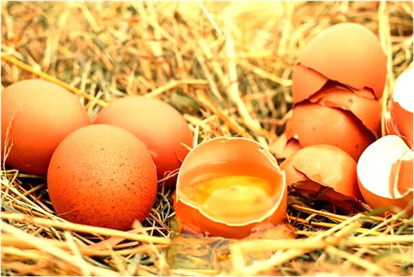 夢見父親墳墓旁邊流水是什麼預兆_周公解夢官網