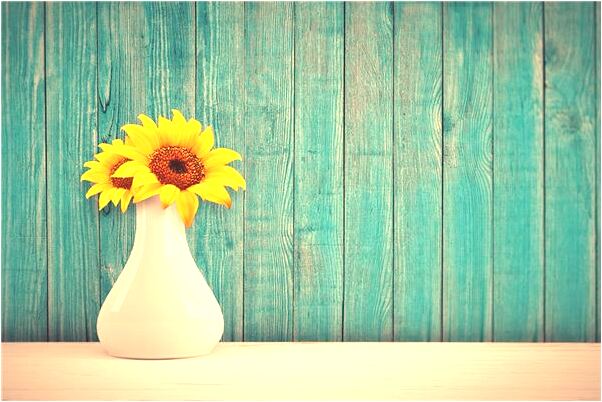 夢到了學生宿舍怎么說_周公解夢官網