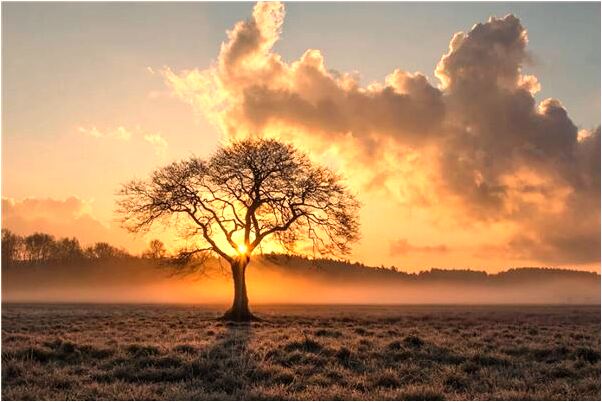 夢到了打爛個玉觀音預兆了什麼嗎_周公解夢官網