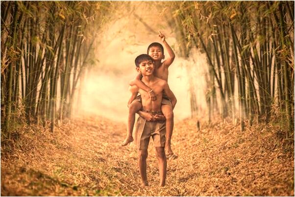 夢到了粽葉和江米是什麼啟示_周公解夢官網