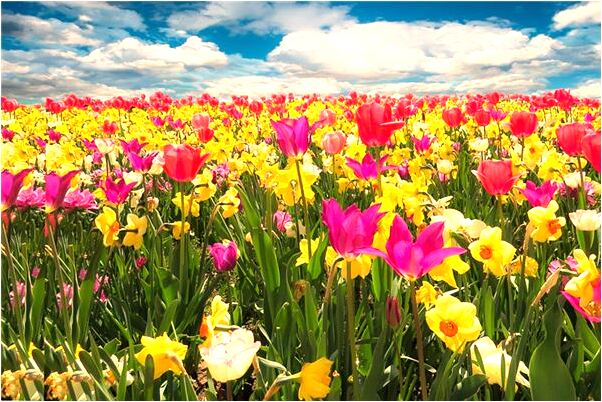 夢到老公穿的大鞋是好是壞_周公解夢官網