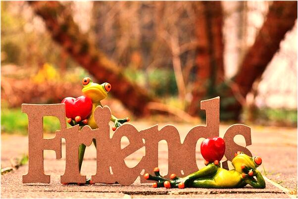 夢到了池塘里有很多大黑魚有何寓意_周公解夢官網