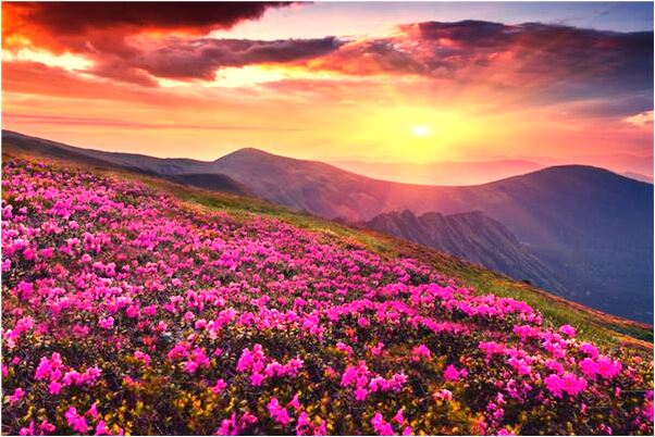 夢到很多房子倒了的預兆_周公解夢官網