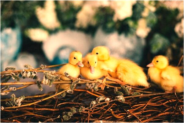 夢到了親人打罵自己代表什麼_周公解夢官網