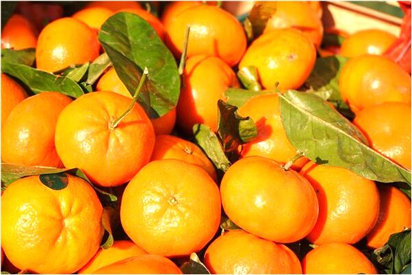 夢見有人拿水果刀切梨預兆了什麼嗎_周公解夢官網