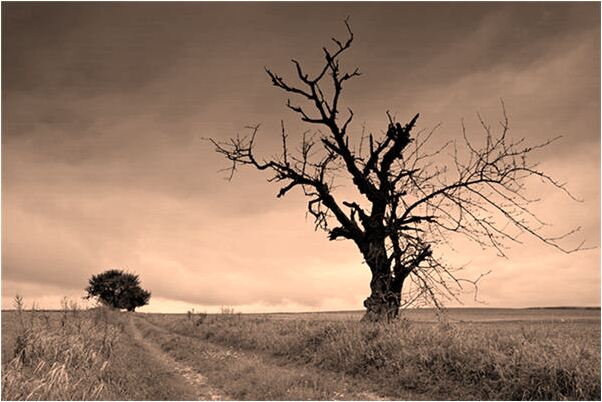 夢到院裡出現墳頭是什麼意思？_周公解夢官網