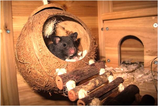 夢見一個不認識的女人死了代表著什麼？_周公解夢官網