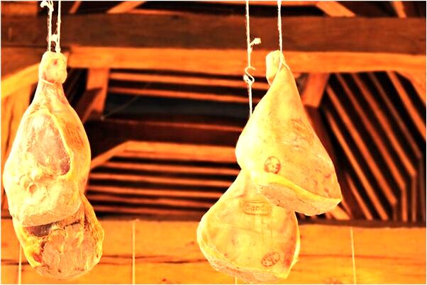 夢到了龍升天什麼寓意_周公解夢官網