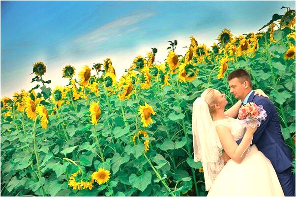 夢見與以前的同事第二次結婚是不是好的徵兆呢_周公解夢官網