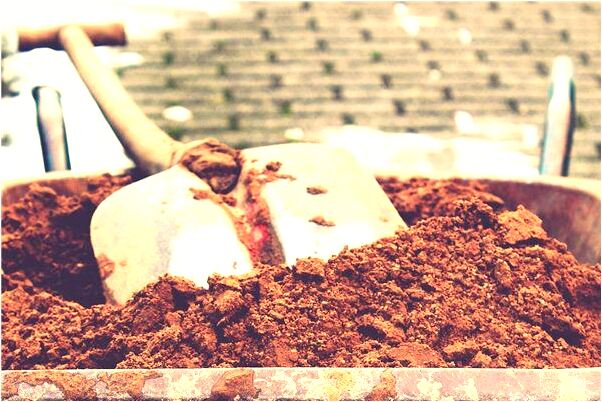 夢到了對同事大發脾氣駕人是什麼預兆?_周公解夢官網