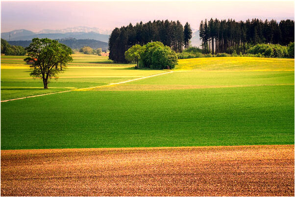 夢見掉進溝里又爬上來意味著什麼_周公解夢官網