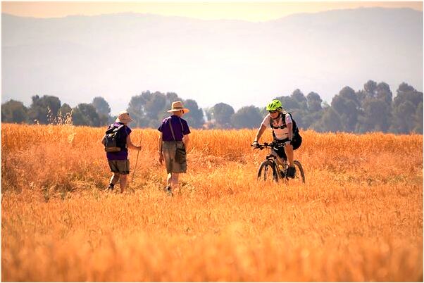 夢到了準備炒魷魚有什麼意思_周公解夢官網