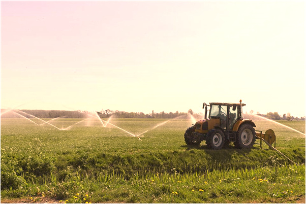 夢見吃東西卡到然後吐出一群鳥怎么說_周公解夢官網